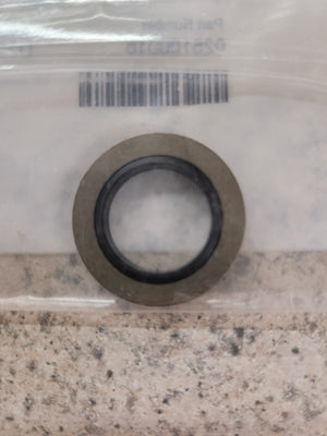 025100016 - WASHER image 0