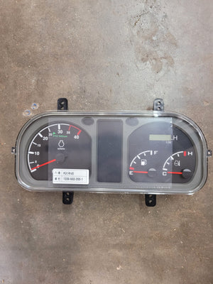 13366602001 - PANEL ASSY, METER image 0