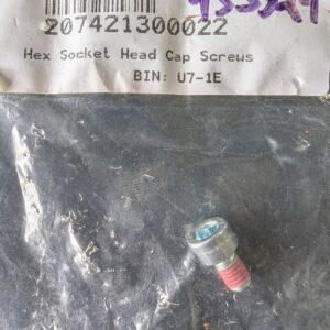 207421300022 - Hex Socket Head Cap Screws / SMTG-L